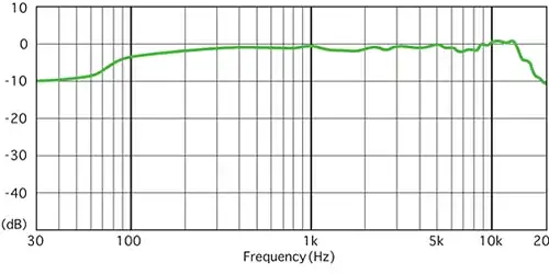 Zoom H2