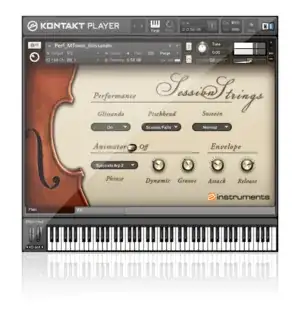 NI Session Strings User Interface