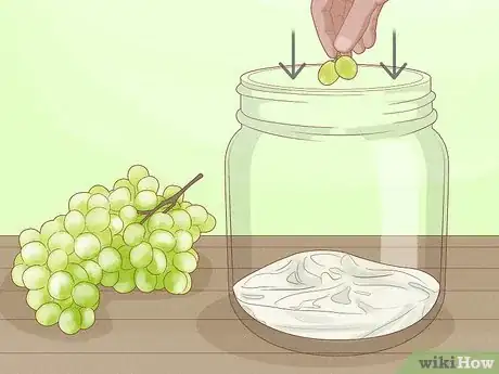 Image titled Grow Yeast Step 4