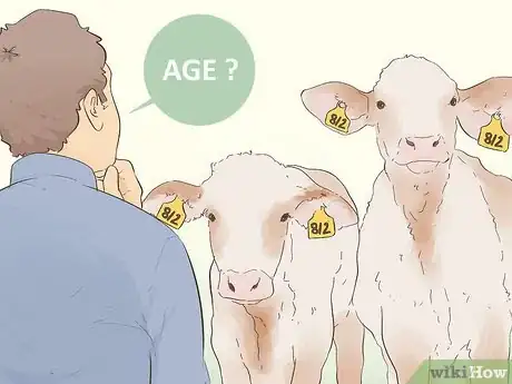 Image titled Write Cattle Ear Tags Step 6