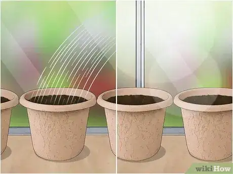 Image titled Grow Chickpeas Step 4