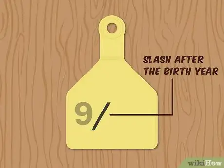 Image titled Write Cattle Ear Tags Step 2