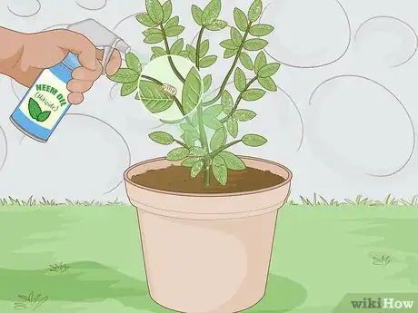 Image titled Get Rid of Plant Mites Step 1