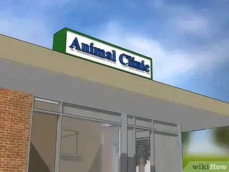 Image titled Get Ticks off Dogs Step 15