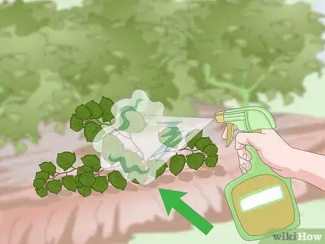 Image titled Get Rid of Japanese Knotweed Step 2