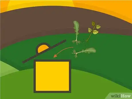 Image titled Remove Weeds from a Lawn Step 14