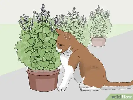 Image titled Keep a Cat in Your Yard Step 8