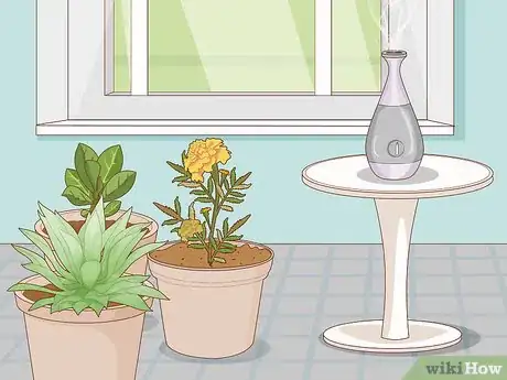 Image titled Get Rid of Plant Mites Step 12