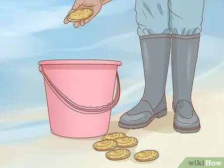 Image titled Dig for Clams Step 15