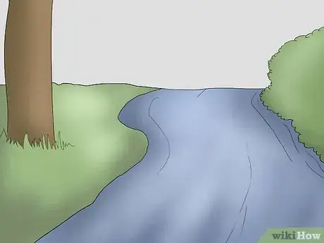 Image titled Forage or Harvest Fiddleheads Step 6