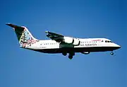 animals and trees (BAe 146)