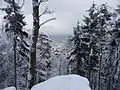 View from the Schornsteinfelsen rocks