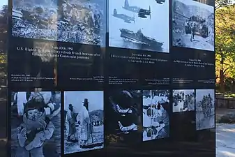 South image panel