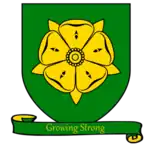 A coat of arms showing a golden rose with five petals on a green field