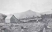 A timber clearing, 1898