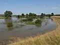 The Waal during high water
