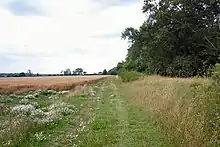 Black Ditches, Cavenham