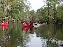 Image 14Boy Scouts canoeing on the Blackwater River, Virginia