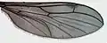 Wing.
