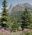 Wiwaxy Peaks