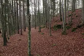 Counterview looking south. Right: the climb to the castle site (November&nbsp;2013)