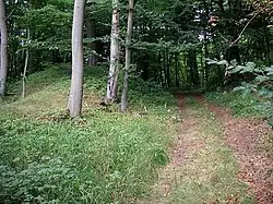 Burgwall Utzedel&nbsp;[de] in Utzedel