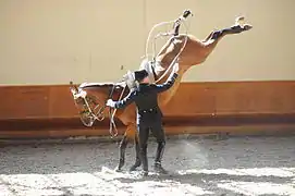 Croupade