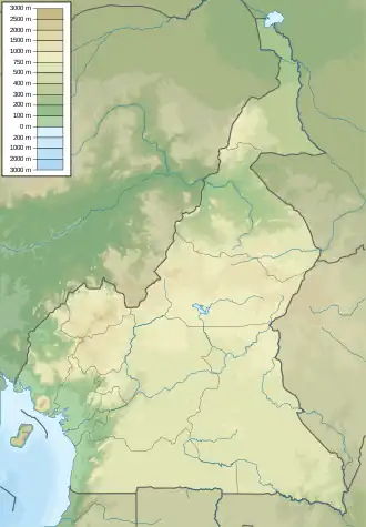 Koum Formation is located in Cameroon