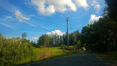 Heading south between Toa Alta and Corozal
