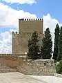 The homage tower as seen from the City Walls (east).