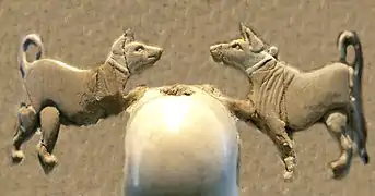 Collar-wearing domestic dogs (Back, 2nd register, around the knob).