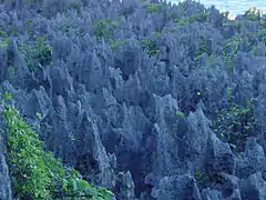 Coral chasm