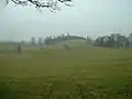 Dalton Park fields