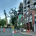 South Park Street