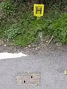 British fire hydrant and sign&nbsp;– the sign indicates the hydrant is 100 mm in diameter and 1 metre from the sign