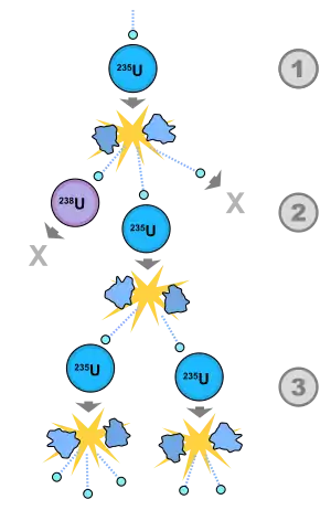 Image 50A schematic nuclear fission chain reaction. 1.&nbsp;A uranium-235 atom absorbs a neutron and fissions into two new atoms (fission fragments), releasing three new neutrons and some binding energy. 2.&nbsp;One of those neutrons is absorbed by an atom of uranium-238 and does not continue the reaction. Another neutron is simply lost and does not collide with anything, also not continuing the reaction. However, the one neutron does collide with an atom of uranium-235, which then fissions and releases two neutrons and some binding energy. 3.&nbsp;Both of those neutrons collide with uranium-235 atoms, each of which fissions and releases between one and three neutrons, which can then continue the reaction. (from Nuclear fission)
