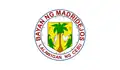 Flag of Madridejos
