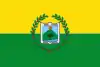 Flag of Vergara