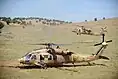 A UH-60 Black Hawk of 123 Squadron "Desert Birds" (yellow logo)