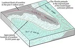 Cross section illustration of the Florida Peninsula showing the current shape of the state as is known today, and the platform created by lower ocean levels 20,000 years ago, extending the west coast 300 miles (480 km) to the west, and portions of the east coast 50 to 100 miles (80 to 161 km) east of what it currently is