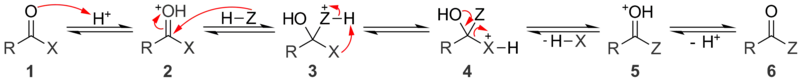 A general mechanism for acid catalyzed nucleophilic acyl substitution