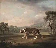 The Pointer (ca. 1766), oil on canvas, 61 x 70&nbsp;cm., Neue Pinakothek