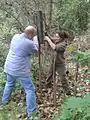 Hammering in a post ... up