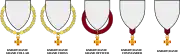 Heraldic displays of order insignia for each grade.