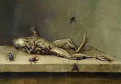 Image 32Dead Frog with Flies by Ambrosius Bosschaert II, c. 1630 (from Frogs in culture)