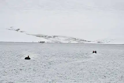 Krenkel Bay, eastern coast of Komsomolets Island (80°40’N, 97°30‘O)