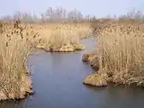 The lake of Sartirana Lomellina