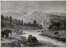 Pliocene at the beginning of humans