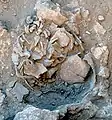 Burial 6. Excavation at exposition 4.