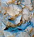 Burial 7. Excavation at exposition 9.